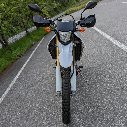 CRF250L MD38 ワンオーナー　ビッグタンク　モリワキマフラー　ローダウン