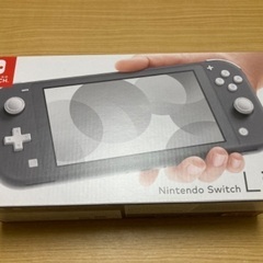 任天堂 Nintendo Swithc Lite 本体 グ…