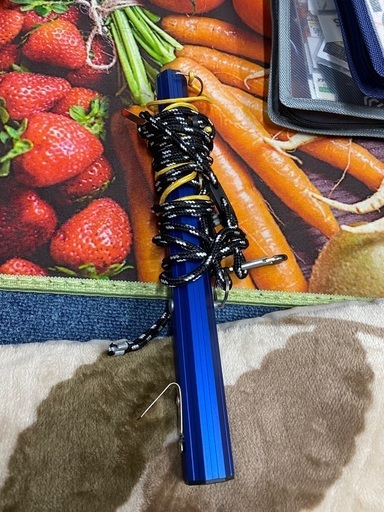 ワカサギテントペグと、中央アンカー付き