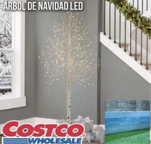 中古★コストコ LED イルミネーションツリー クリスマスツリー 白樺★廃盤 COSTCO 白樺ツリー