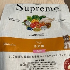 【特売】シュプレモ（Supremo）1kg 子犬用
