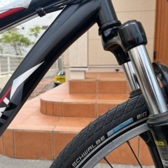 🇺🇸SCHWINN⚾️⚽️🏀部活最適Ｆサス良品