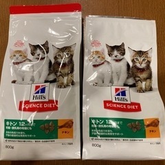 キャットフード