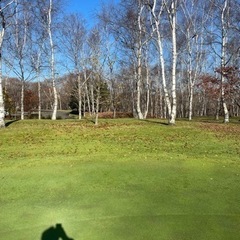 道内のゴルフ仲間大募集⛳️