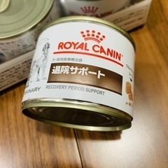  ロイヤルカナン 退院サポート 食事療法食 缶詰 22缶 猫 犬...
