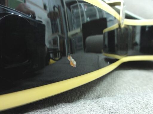 Greco レスポールタイプ 型番不明 ミントコレクション 黒 ジャパン