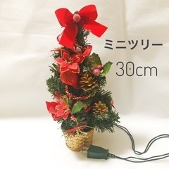 【ネット決済・配送可】ミニクリスマスツリー（30cm）