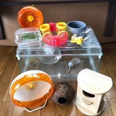 【★ハムスターの飼育に！】ハムスタークリアゲージセット＋おもちゃ...