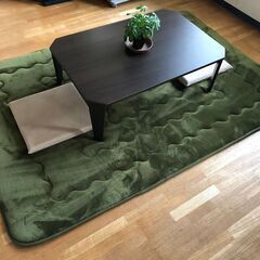 ローテーブルと絨毯。もしよろしければ座布団と植物もご一緒にどうぞ！