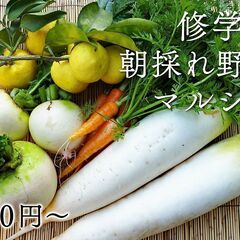 aina style 京都本店にて 修学院「朝採れ」野菜のマルシ...