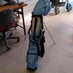 1208-026 キャロウェイ　GEMS 