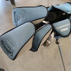 1208-026 キャロウェイ　GEMS 