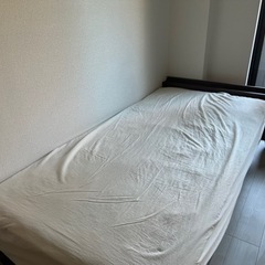 半年間使用 シングルベッド 無料お渡し！