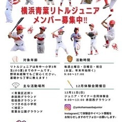 【体験会のお知らせ】☆野球を始めるなら横浜青葉リトルリーグ☆