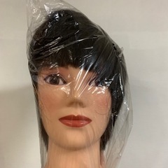 【ネット限定】ウィッグ/エクステ美容師国家試験の中古が安い!激安で譲ります・無料であげます|ジモティー