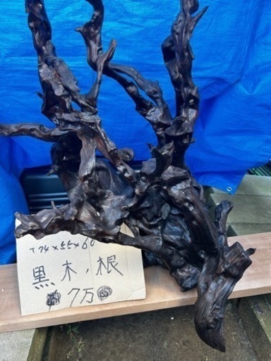 黒い木の根の置物　　最終値引35000➡️25000