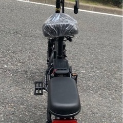 人気のフル電動自転車(ひねちゃ) リミッター解除 スマートキー最新防犯 