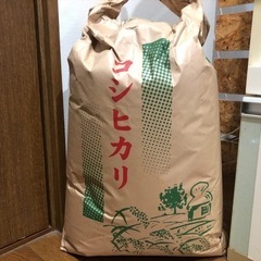 令和3年産　コシヒカリ30kg   玄米
