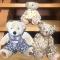 テディベア teddy house テディハウス ぬいぐるみ 2...