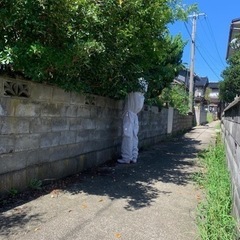 害虫、害獣駆除業者！！ - 地元のお店