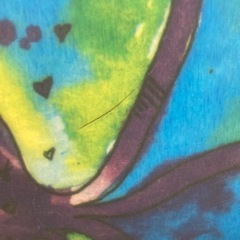 スノーボード ROXY 118cm 板のみ