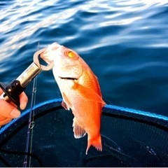 釣り仲間できたらいいな\( ˆoˆ)/\(ˆoˆ )/