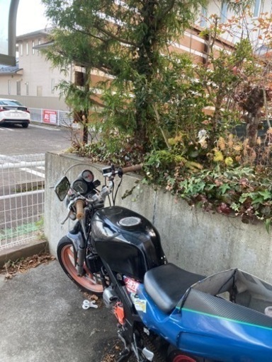 tzr50 不動車　部品取りなどにぜひ tzr50 不動車 部品取りなどにぜひ