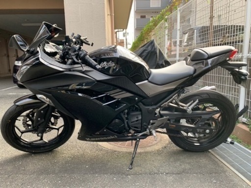 Ninja250 2017年式 自賠責付 低走行 126cc～250cc | バイク