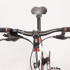 CANNONDALE 「キャノンデール」 HOOLIGAN ALFINE 2011年モデル ミニベロ