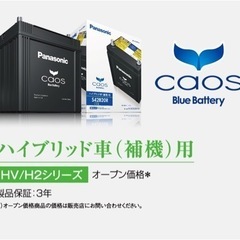 👀カオスハイブリッドバッテリー補機用👀