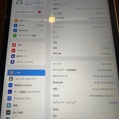 iPadPro 第2世代 11インチ Wi-Fi + Cellu...