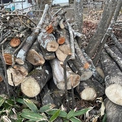 太めの薪、長い枝、落ち葉のついた枝