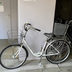 自転車（2019年購入）