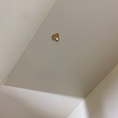 現代仏壇　壁掛け