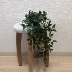 IKEA フェイカ　吊り下げ用　観葉植物　ハンギング