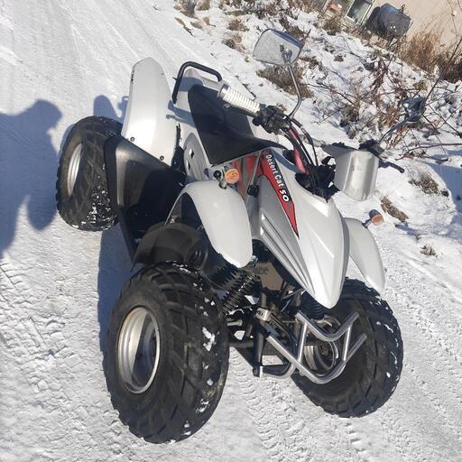 公道OK ミニカー登録 ATV デザートキャット50 www.shahrazad.co.il