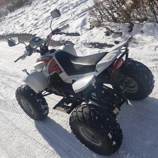 公道OK ミニカー登録 ATV デザートキャット50 www.shahrazad.co.il