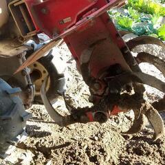 耕運機　ヤンマー