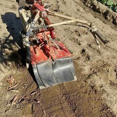 耕運機　ヤンマー