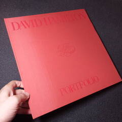 デビッドハミルトン写真集その２！DAVID HAMILTON！日本芸術出版社！アートマンクラブ！　アラーキー荒木経惟沢渡朔好きにお薦め！