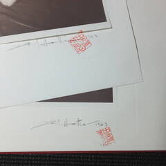 デビッドハミルトン写真集その2！DAVID HAMILTON！日本芸術出版社