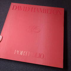 デビッドハミルトン写真集その２！DAVID HAMILTON！日本芸術出版社！アートマンクラブ！　アラーキー荒木経惟沢渡朔好きにお薦め！