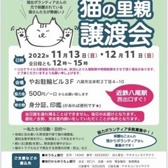 八尾ねこの会さくら　猫の里親譲渡会