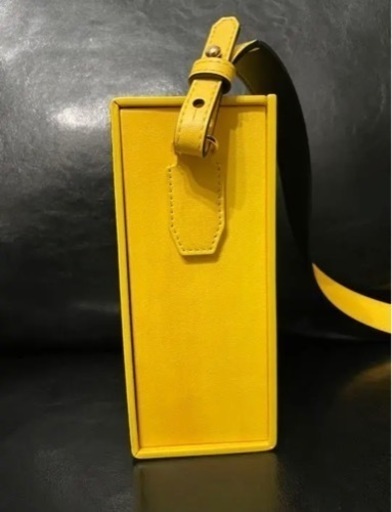 FENDI 縦型ボックス バッグ 定価18万 本日のみ3万で譲ります | dpcoman.om