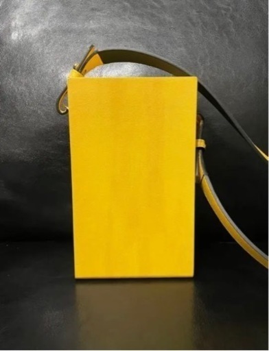 FENDI 縦型ボックス バッグ 定価18万 本日のみ3万で譲ります | dpcoman.om