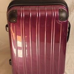 スーツケース　SmartBird　紫色　2泊3日程度　小型