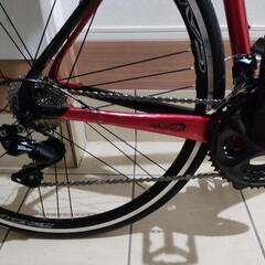 ほぼ新品) Gusto MY23 Ranger sport elite Lサイズ