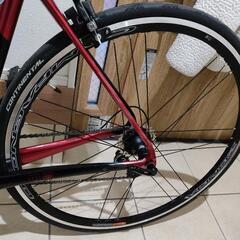 (ほぼ新品) Gusto MY23 Ranger sport elite Lサイズ