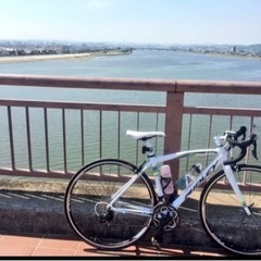 【値下げ】RIDLEY LIZ AL(リドレーリズAL) 2016年モデル