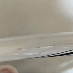 【値下げ】RIDLEY LIZ AL(リドレーリズAL) 2016年モデル